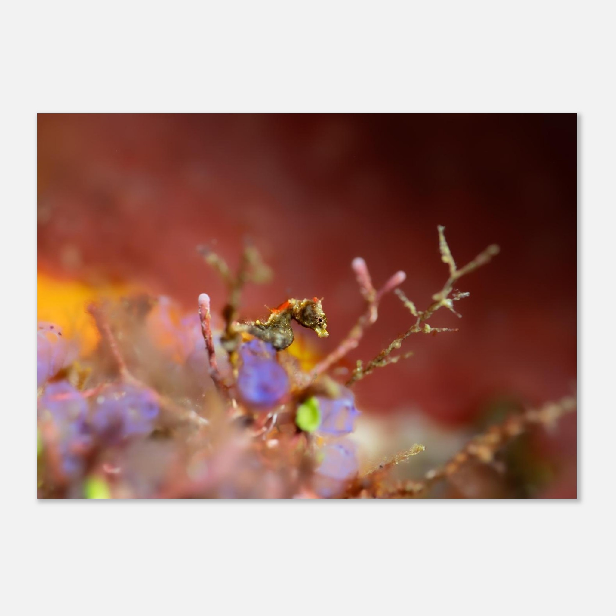 0b705cf1-6ec8-4a84-ae80-ecf5fb40afcf