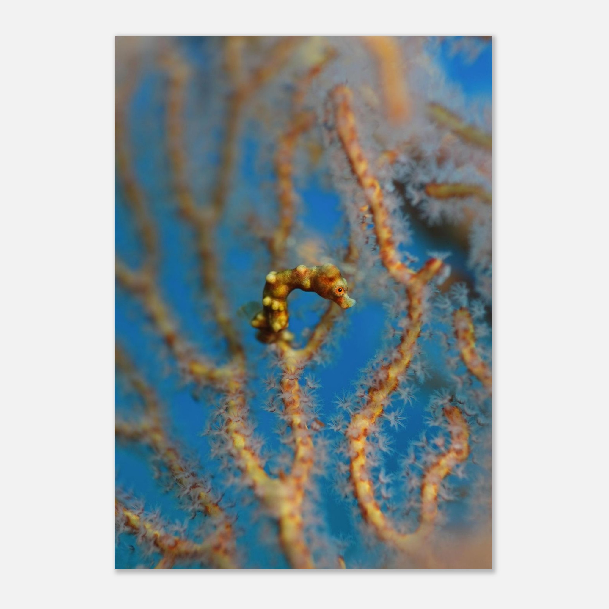 3e67485c-e1de-42be-9dc4-cb13b5059518