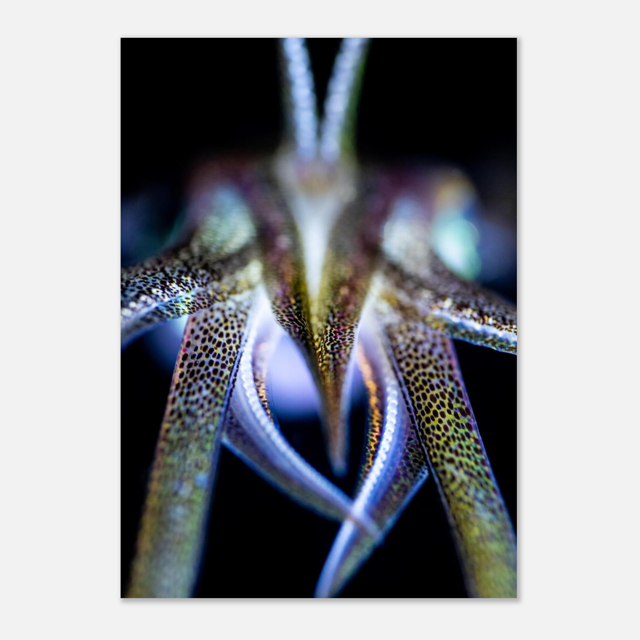 8f3dde1a-d166-4fb2-b753-2a4b616d4881