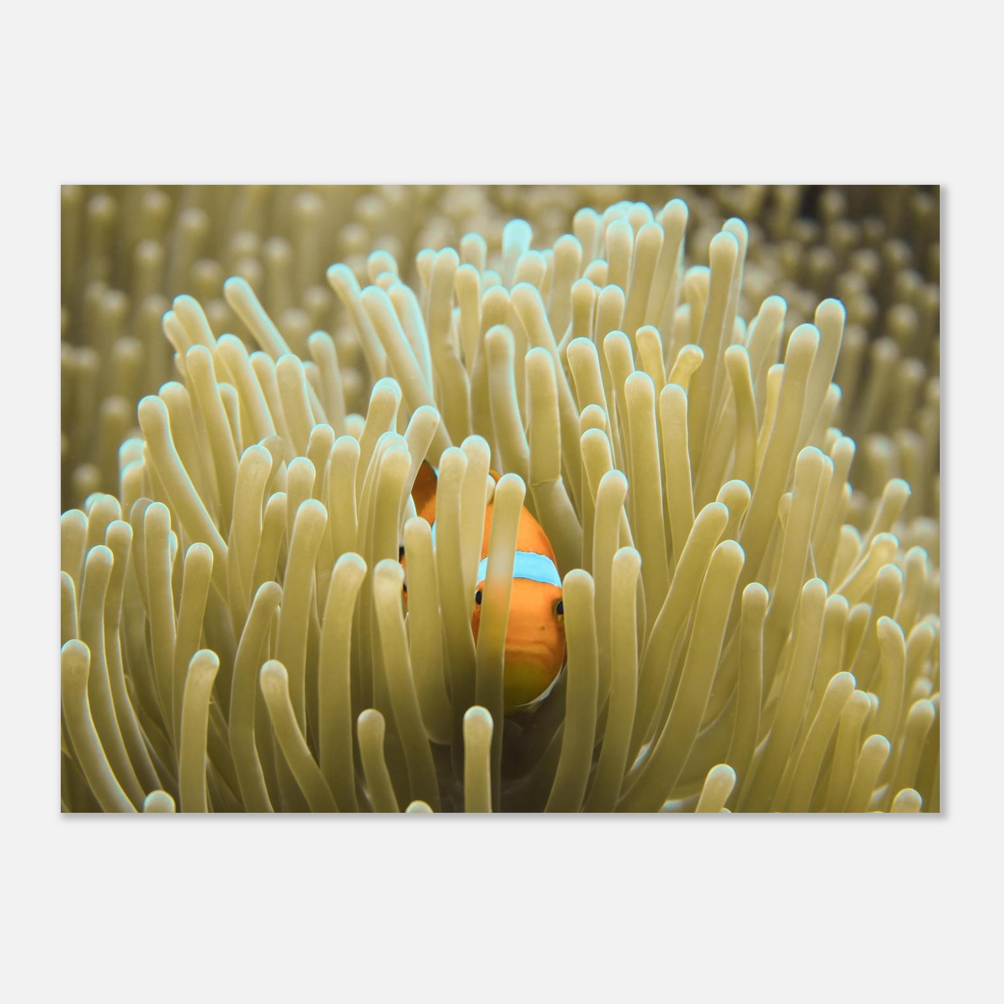 900f47ae-29d8-4812-b261-8f317d102377