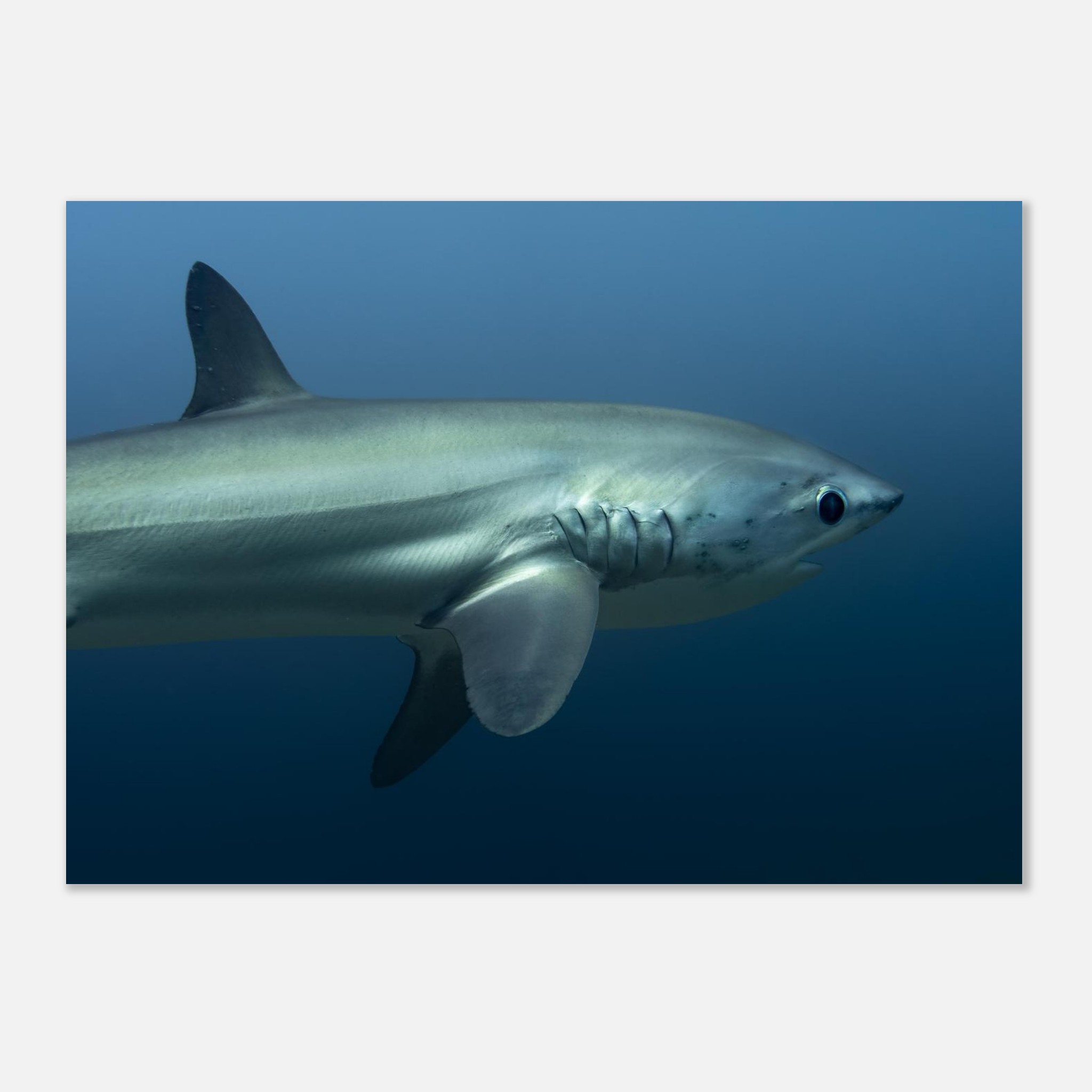 b1496c73-acd7-48bb-a239-863eaed53657