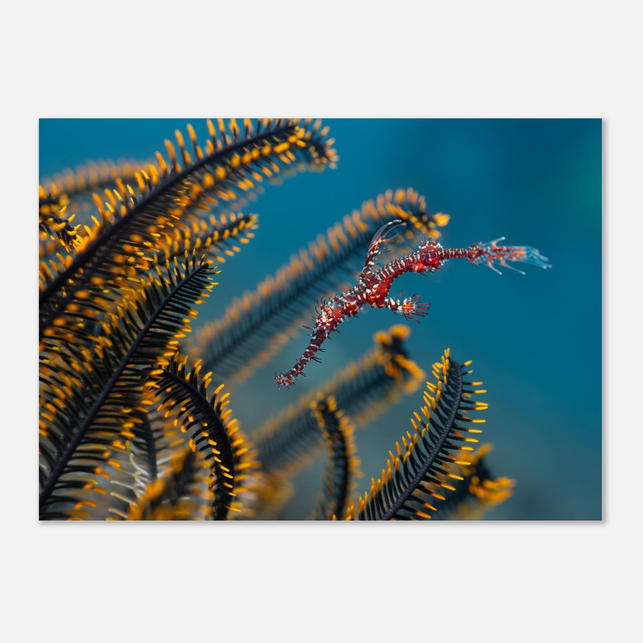 b54f6ad1-fb8c-4734-a62b-226eff62bc70