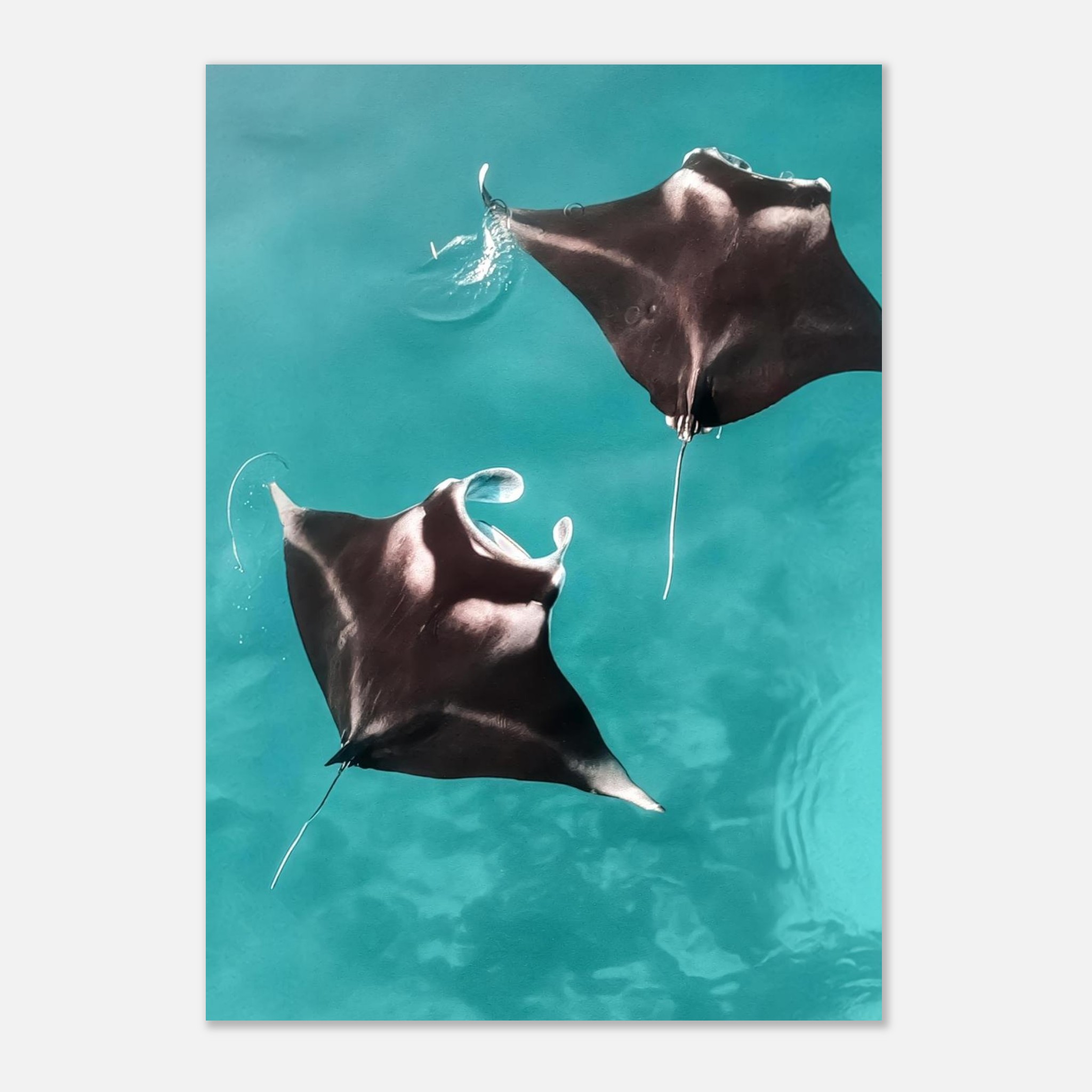 c96bd8e4-98f8-4170-9196-3f62fcf2c203