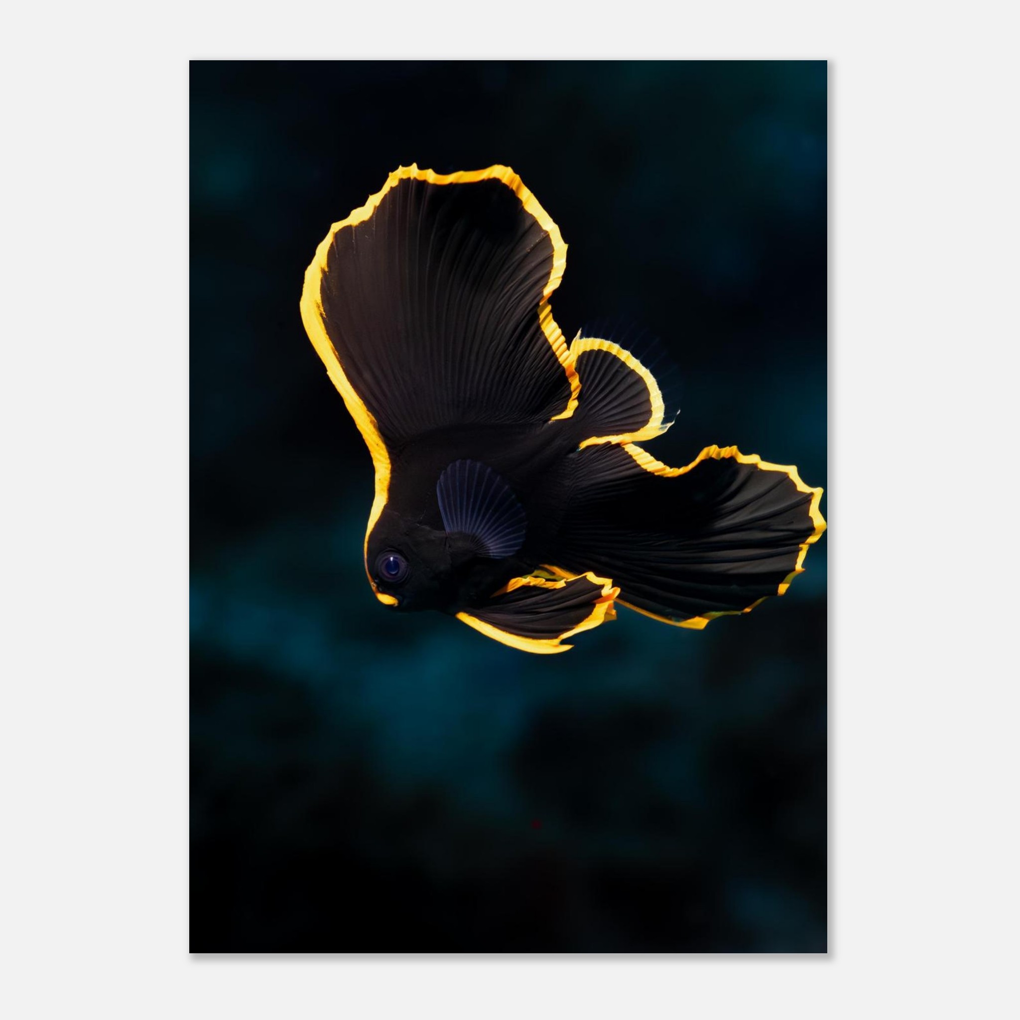 d93bd7ee-0074-446f-b610-550b8d889cb2