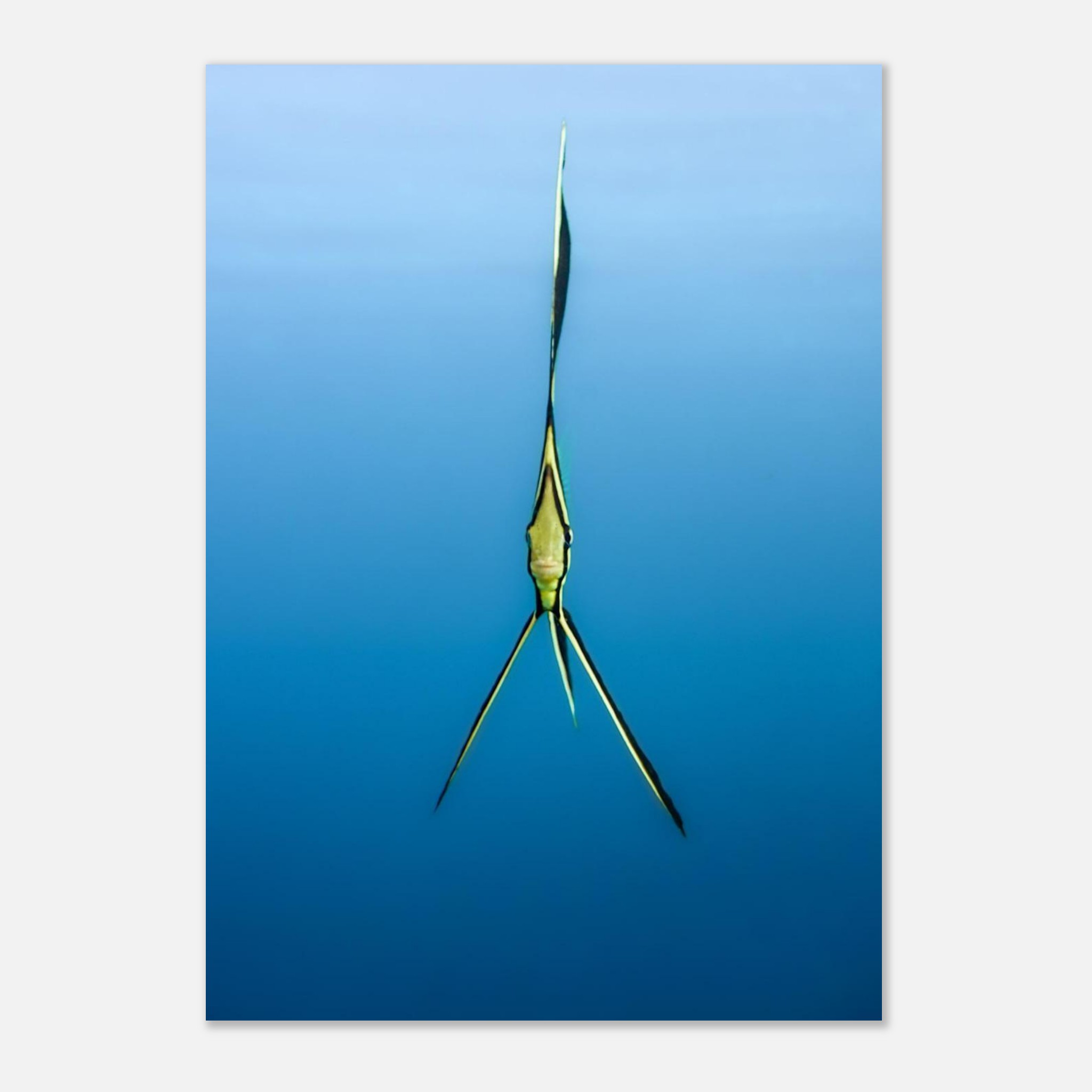 df26502d-a435-42b1-8915-5867a0eaa32f