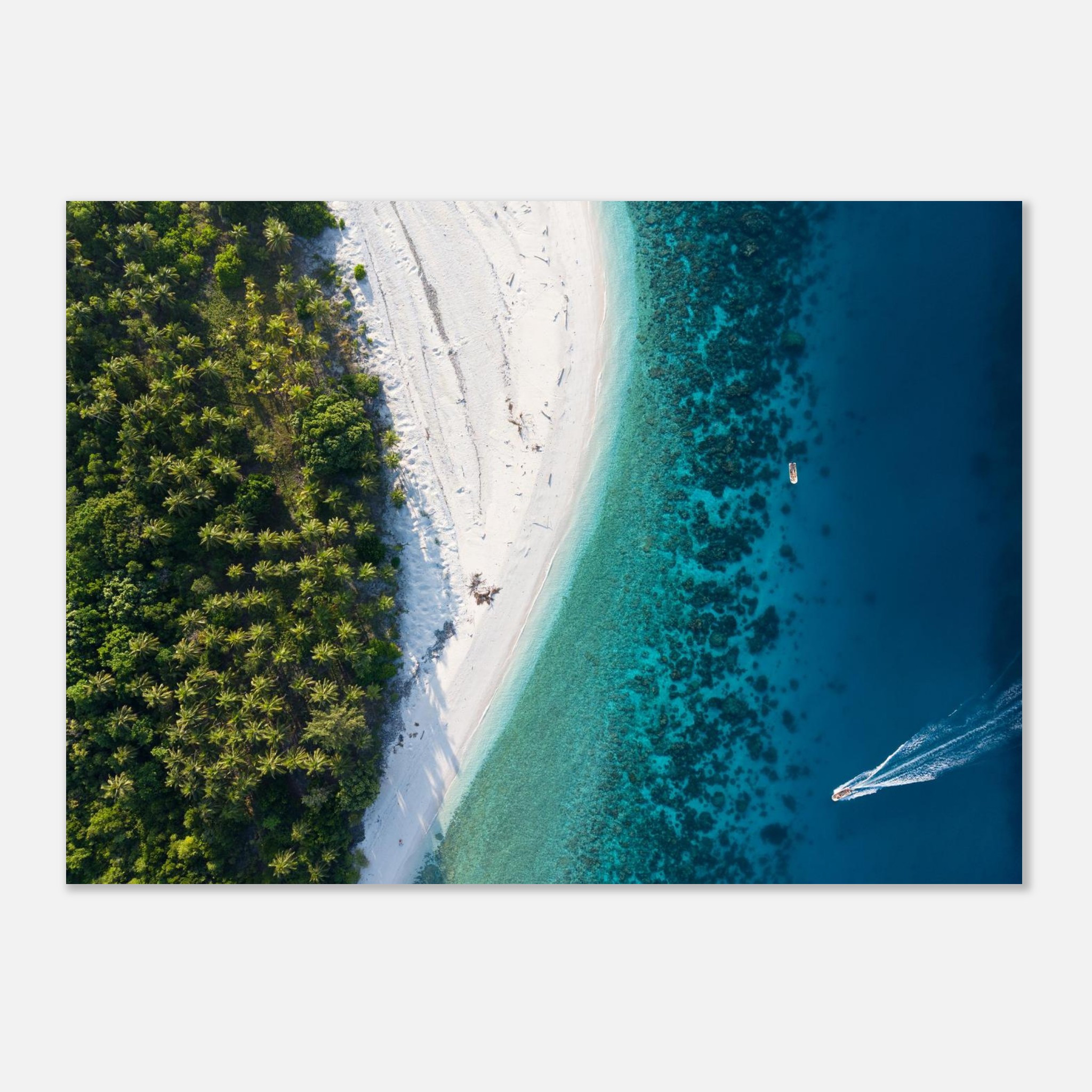 e0f4eb14-611d-4a73-939e-d09361c1e7ea